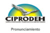 Logo_pronunciamiento